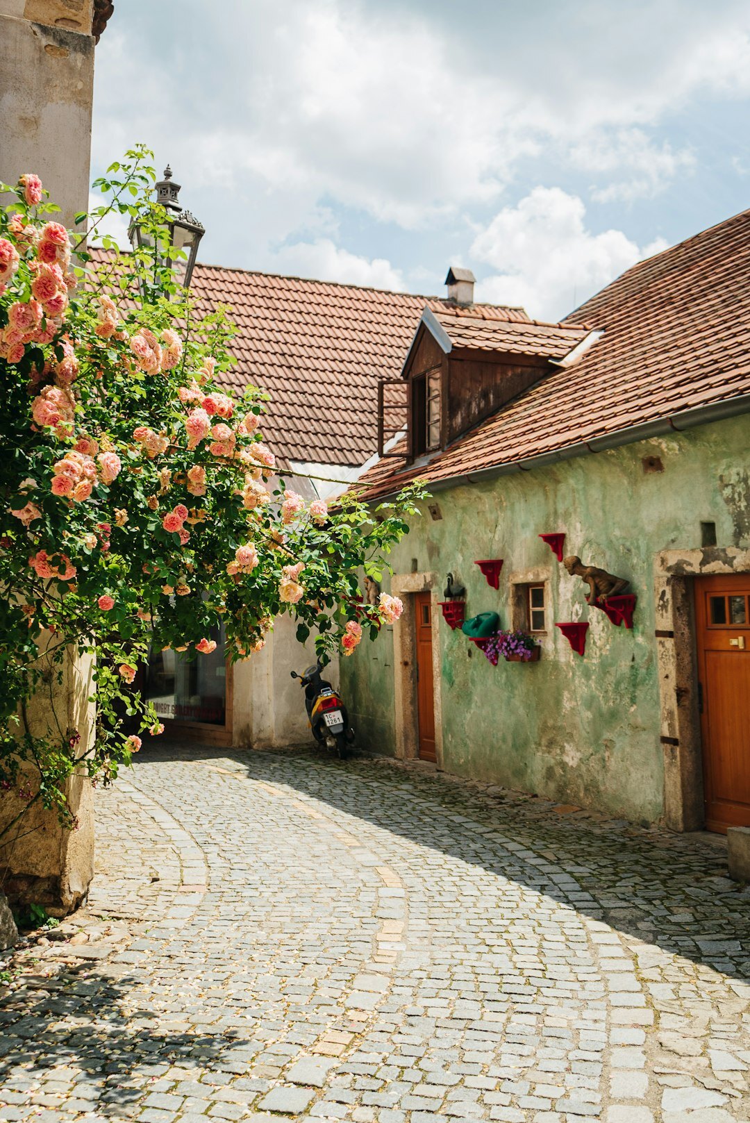 czech home kitchen